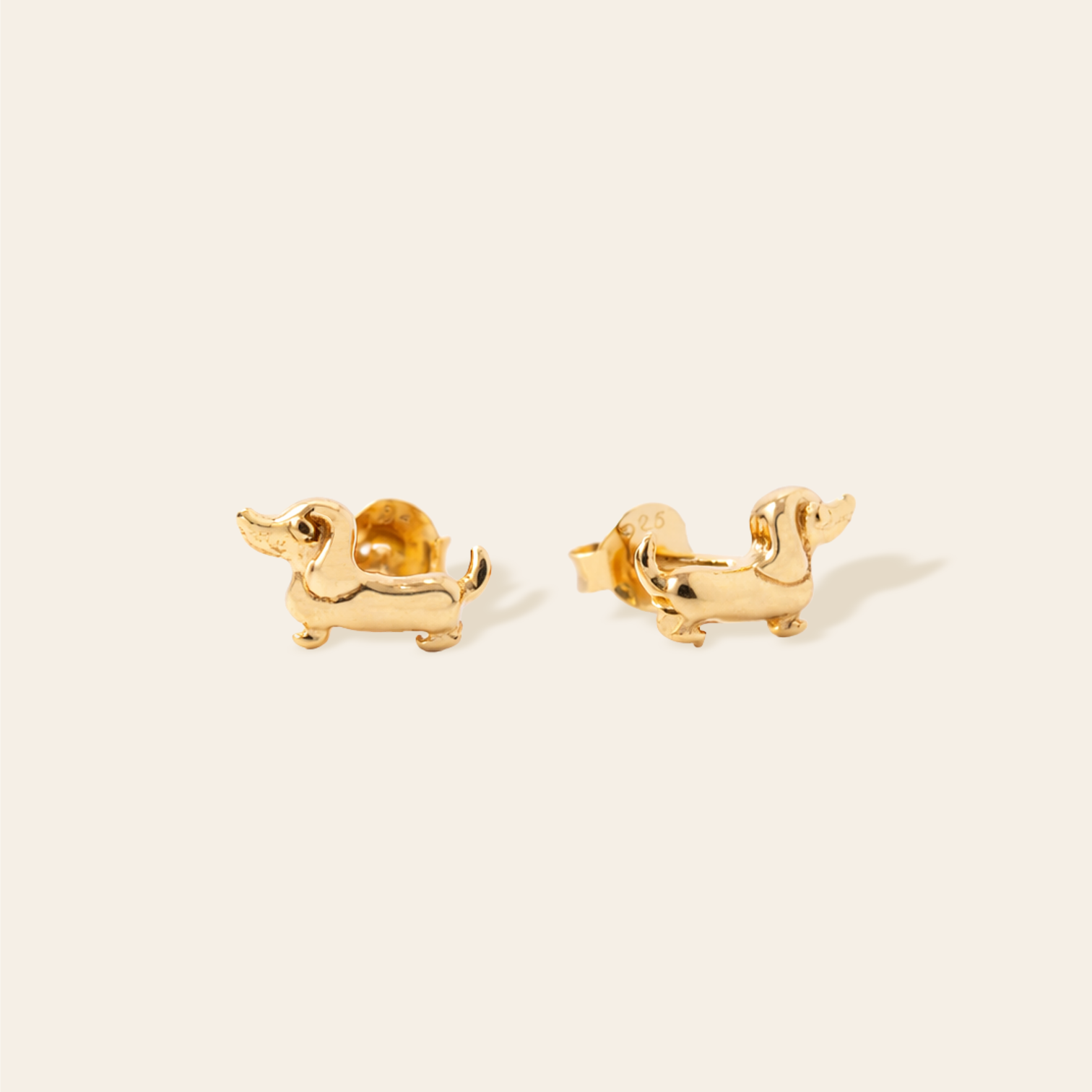 Dachshund Studs