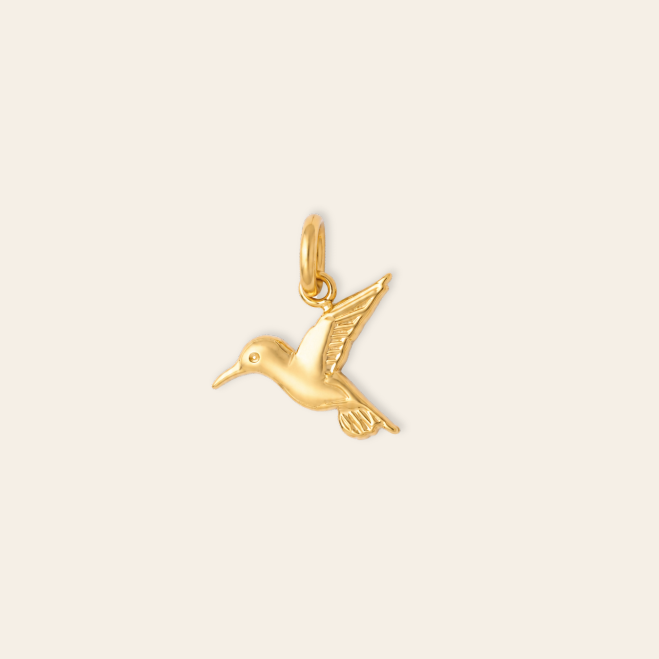 Hummingbird Charm