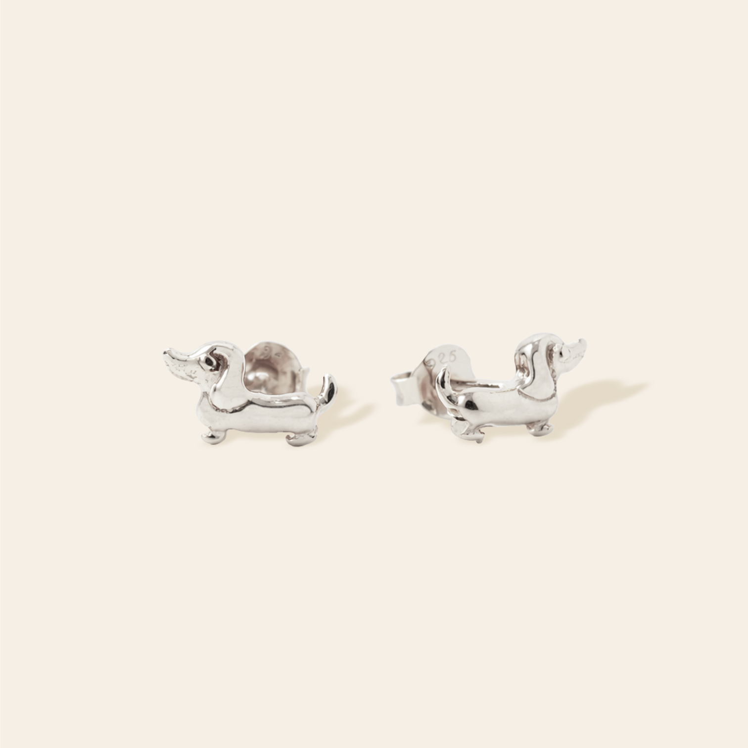 Dachshund Studs